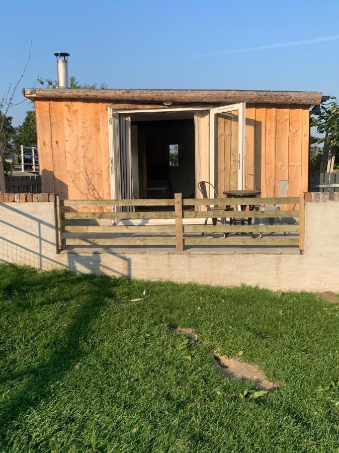 Molehill Lodge Swansea Bagian luar foto