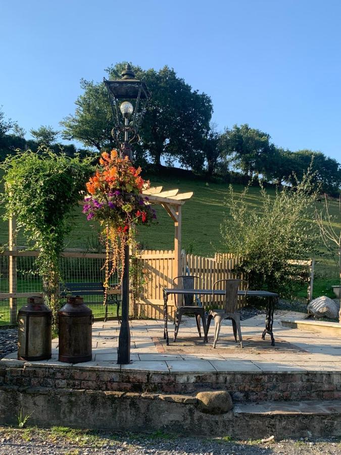 Molehill Lodge Swansea Bagian luar foto