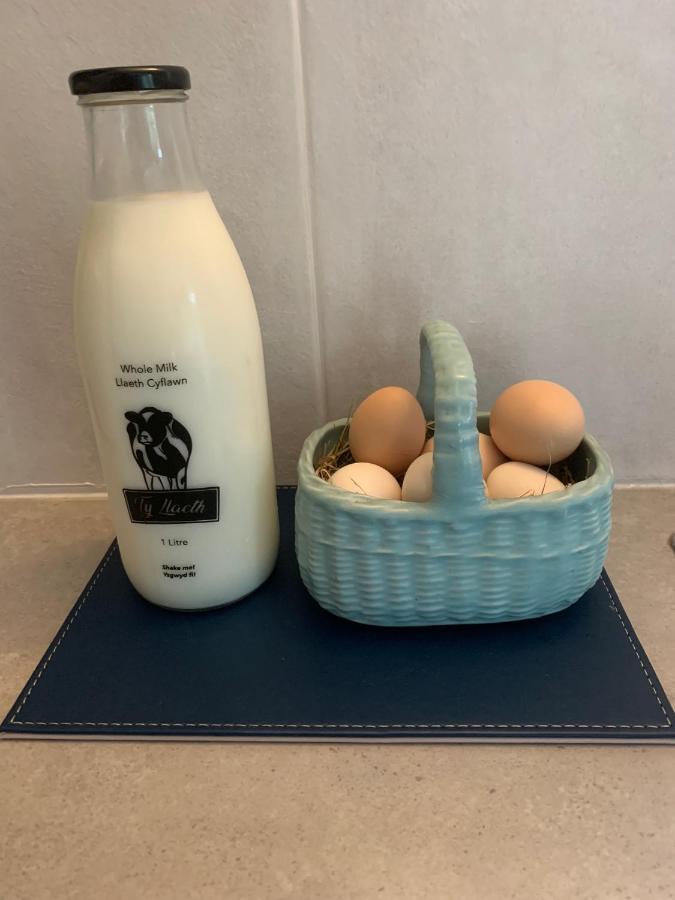 Molehill Lodge Swansea Bagian luar foto