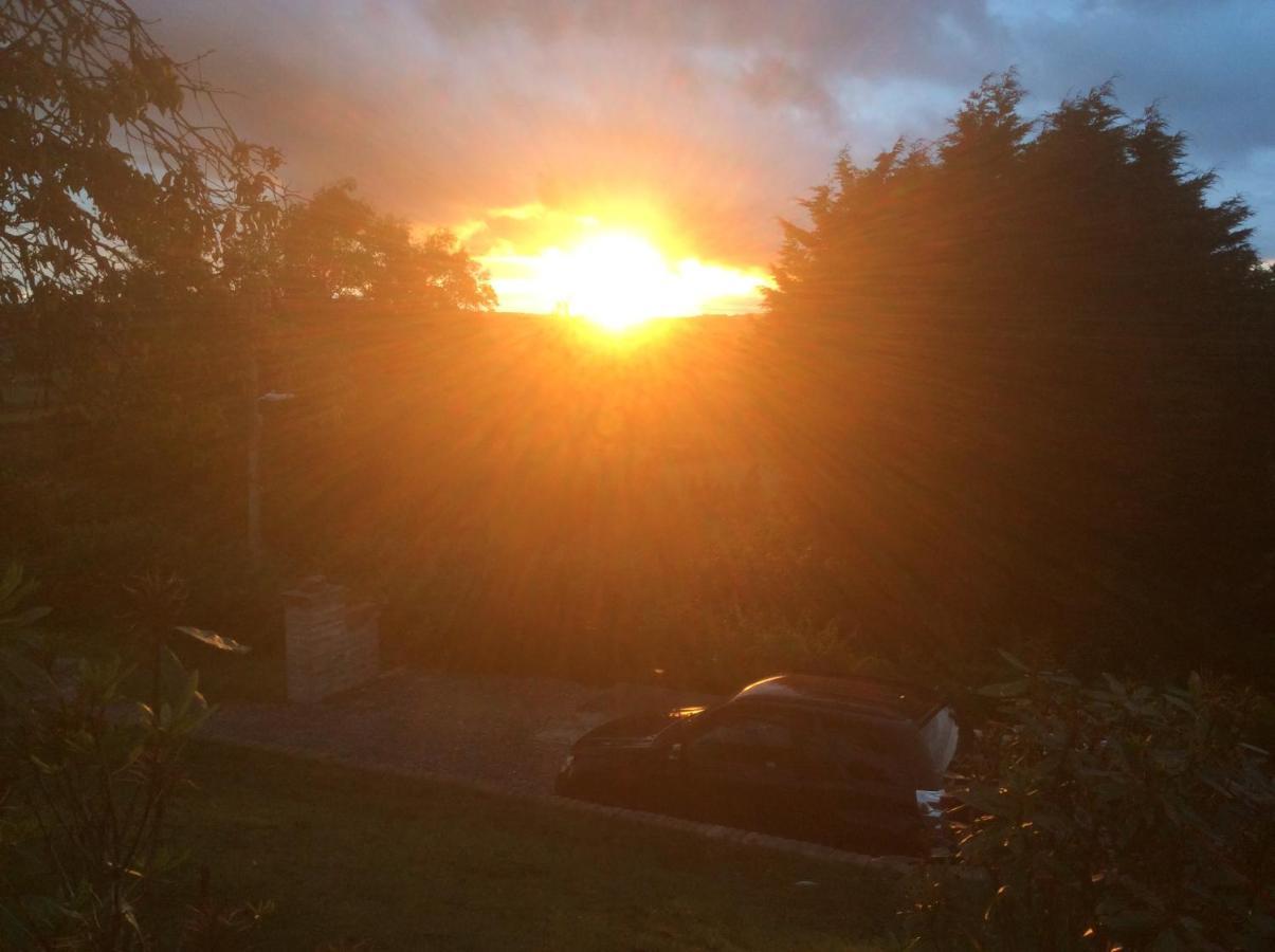 Molehill Lodge Swansea Bagian luar foto