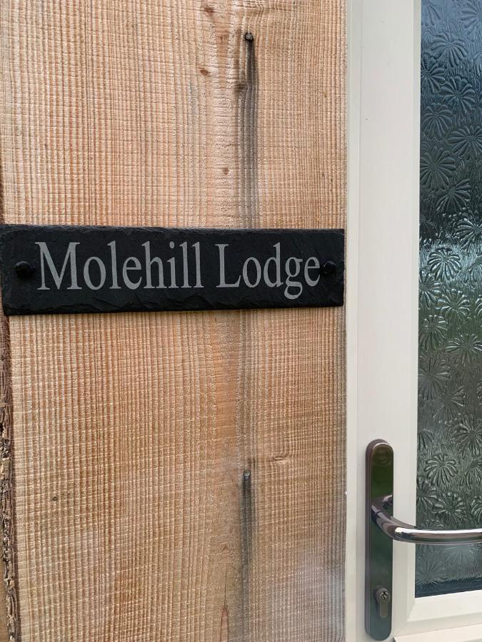 Molehill Lodge Swansea Bagian luar foto