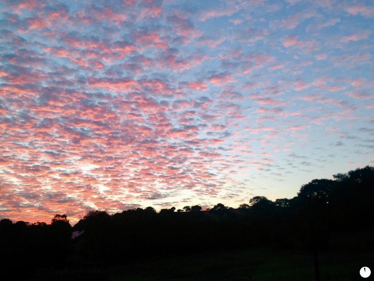Molehill Lodge Swansea Bagian luar foto