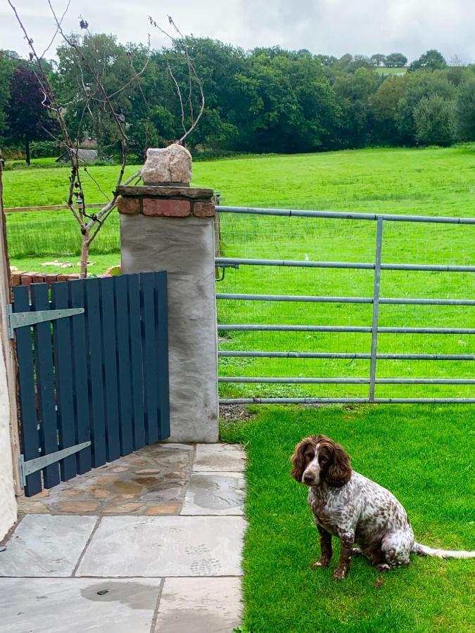 Molehill Lodge Swansea Bagian luar foto