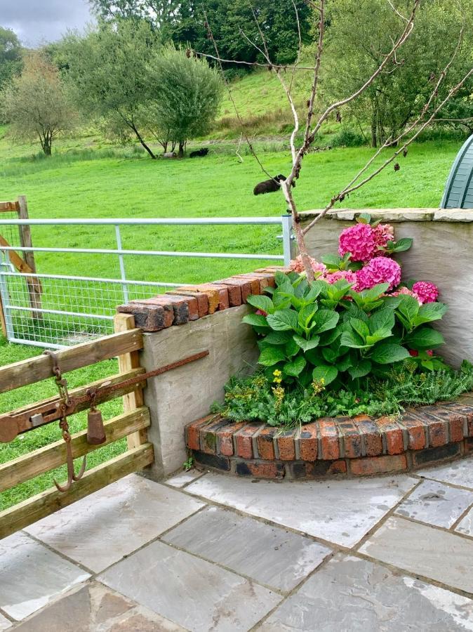 Molehill Lodge Swansea Bagian luar foto