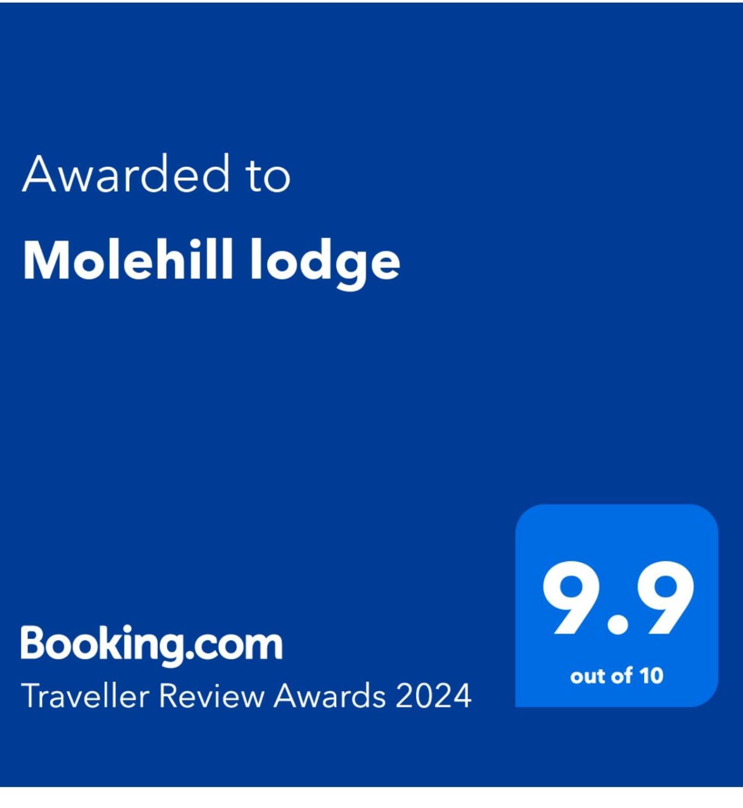 Molehill Lodge Swansea Bagian luar foto