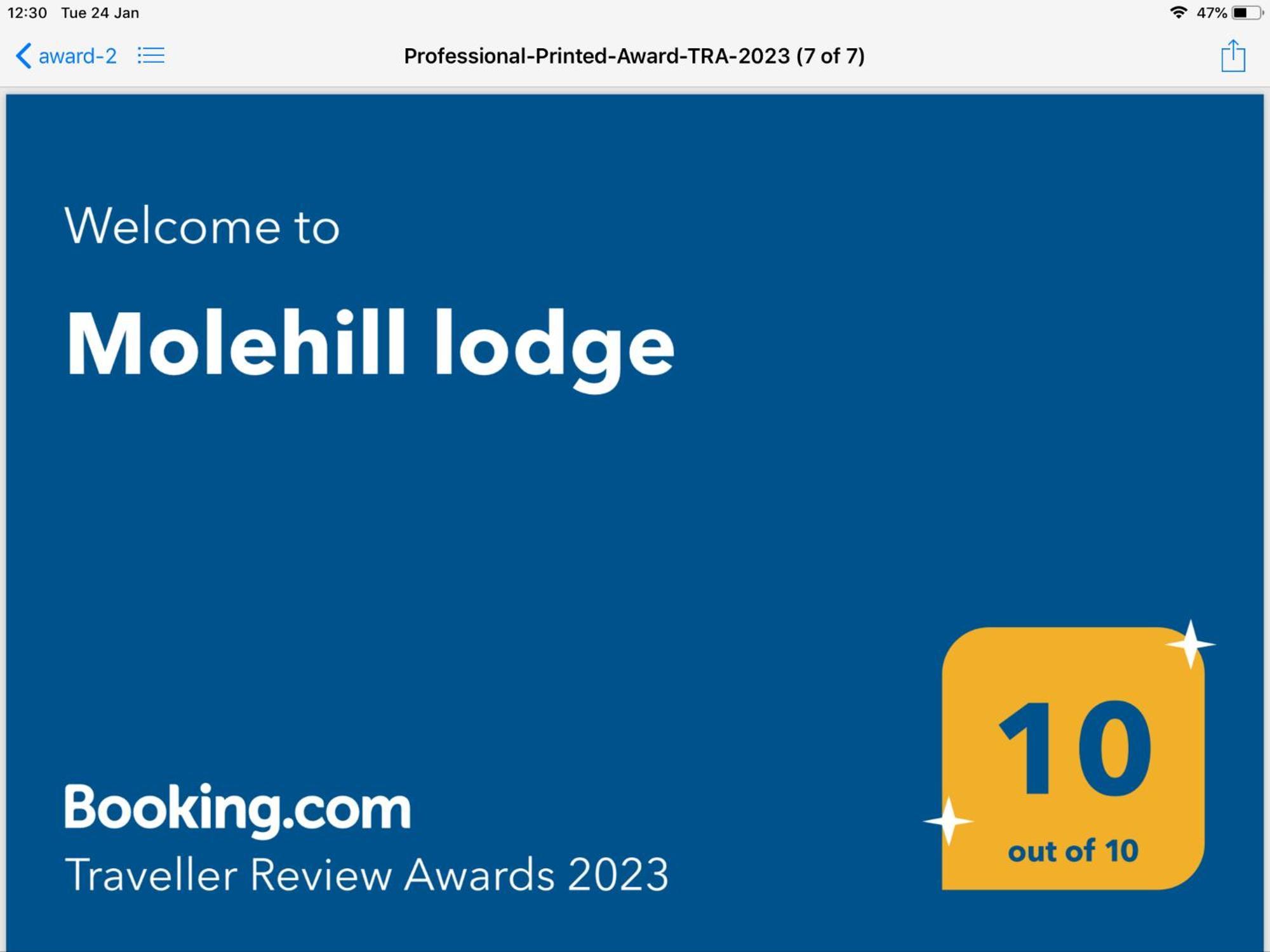 Molehill Lodge Swansea Bagian luar foto